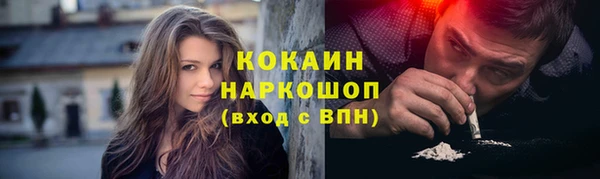 прущие грибы Аркадак