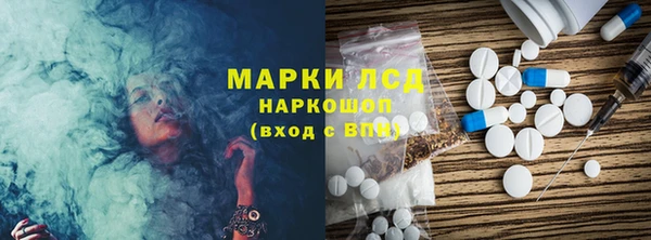 прущие грибы Аркадак